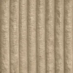 TILIA-11